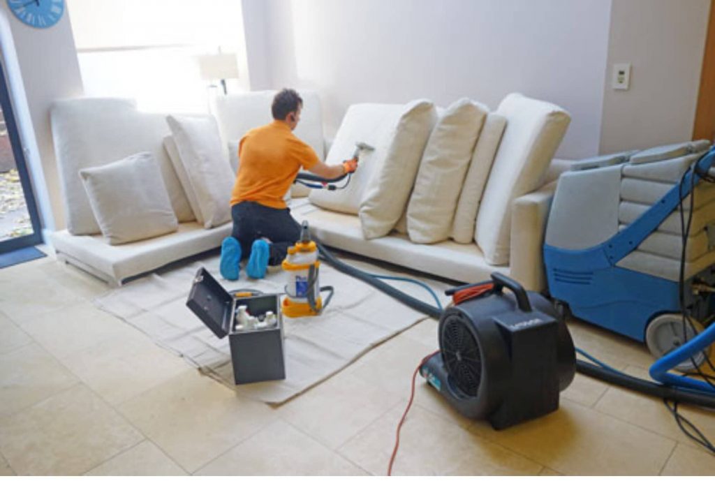 Eco-Friendly Couch Cleaning Options in Cherrybrook