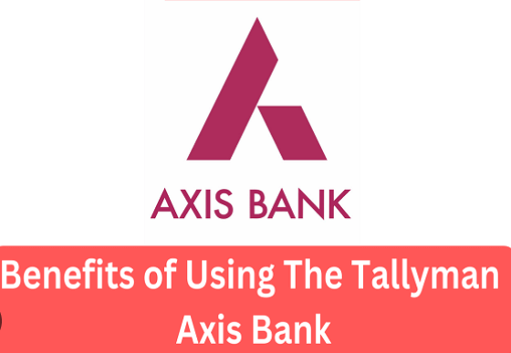 Tallyman Axis: Revolutionizing Financial Transactions