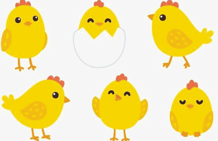 Clipart:1oifb4uv1r0= Chicken