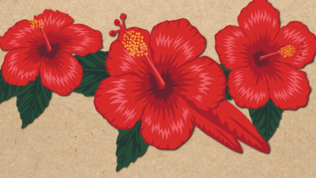 Clipart:R5hk-Xlkdh8= Hawaiian Flower