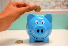 hdfc pharma and investment