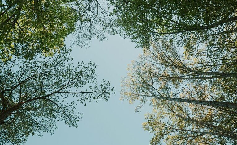 maximize life growth potential
