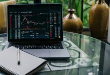 investing in stocks basics