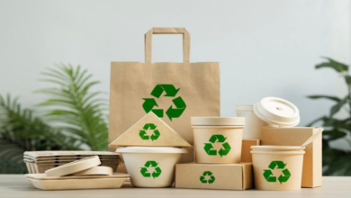 Innovative Packaging Materials Shaping the Future of Product Protection