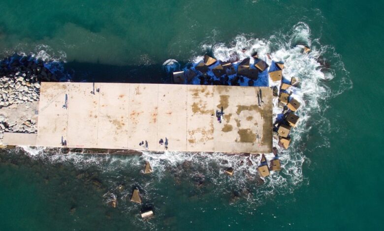 afilmywap online movie platform