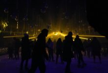 bdmusicboss music portal overview