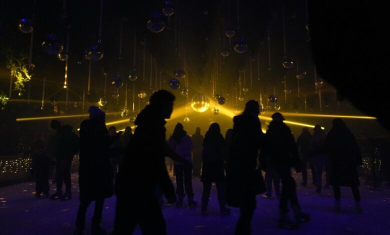 bdmusicboss music portal overview