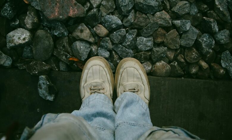 fashion platform overview provided