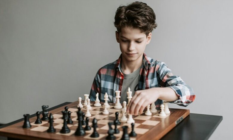 dimrekemesgen s skills overview