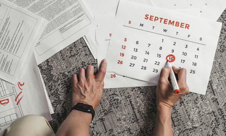 primiotranit 02 11 review insights