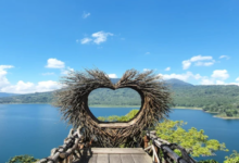 Bali Tour Packages from India: Cost, Visa & Itinerary Guide by Flamingo Travels