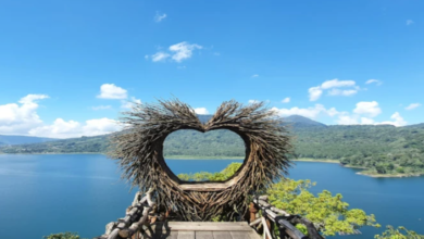 Bali Tour Packages from India: Cost, Visa & Itinerary Guide by Flamingo Travels