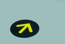 reliable contact guide 504 384 2447