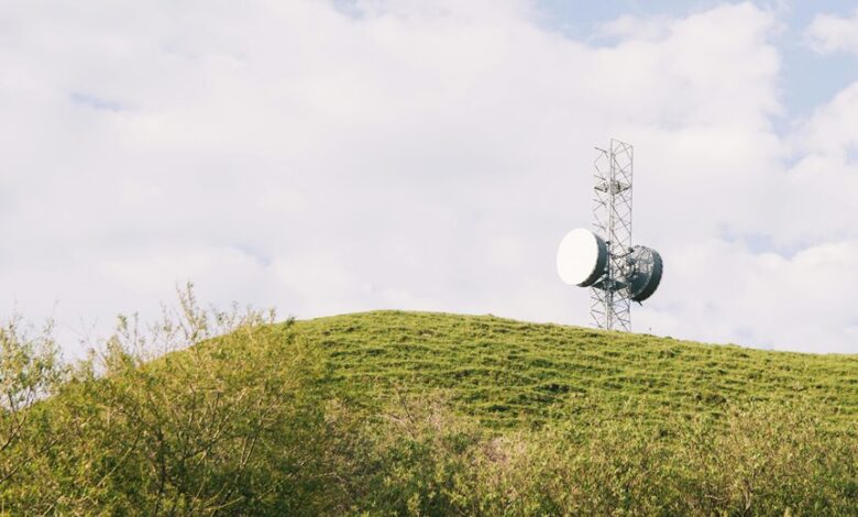 signal horizon start caller lookup