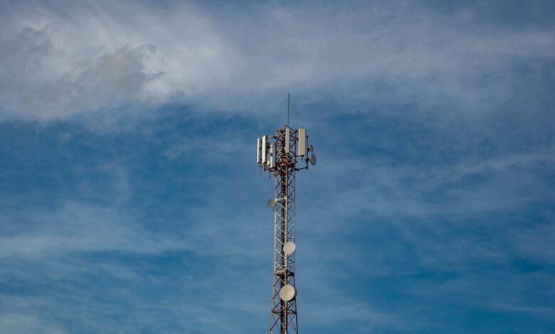 signal network start caller lookup