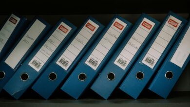 advanced connectivity observation archive nonsense text