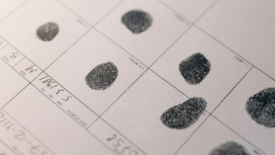 advanced record identifiers and metrics