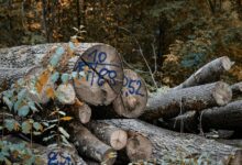 call log verification multiple numbers