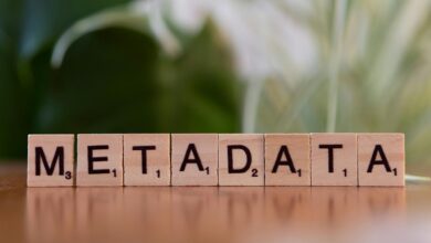data integrity audit details included