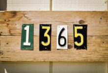 network activity record identifiers listed