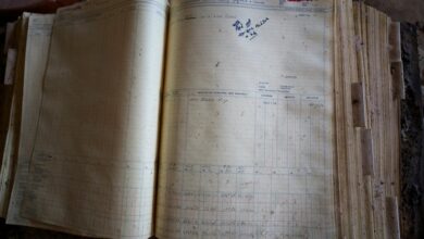 operational data tracking archive ids