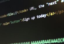 structured network observation metadata identifiers
