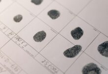 structured profile examination record identifiers