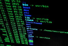 system data inspection identifiers and codes