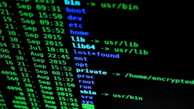 system data inspection identifiers and codes