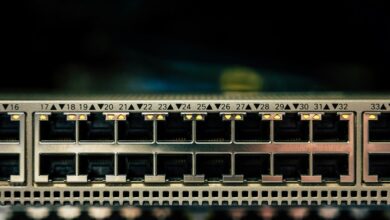 system data inspection identifiers and ips