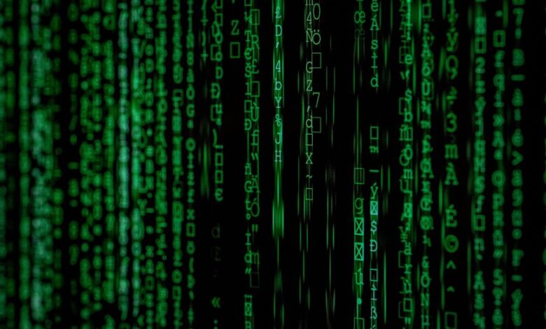 system identifiers and names with numbers