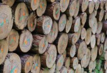 unified system integrity mapping logs