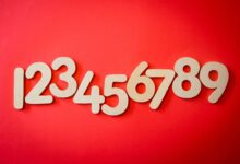 list of various phone numbers detected