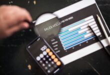 phone numbers for verification insights