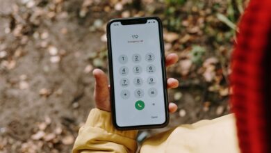 phone numbers listed for identity records