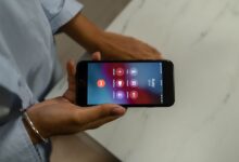 phone numbers listed in database dump