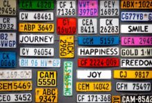 trace numbers and registry references