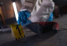 verified registry evidence ids listed