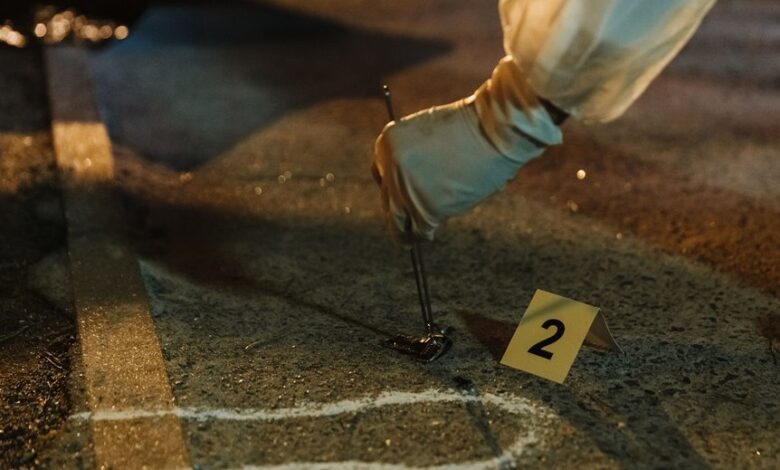 view numbers search evidence for five ids